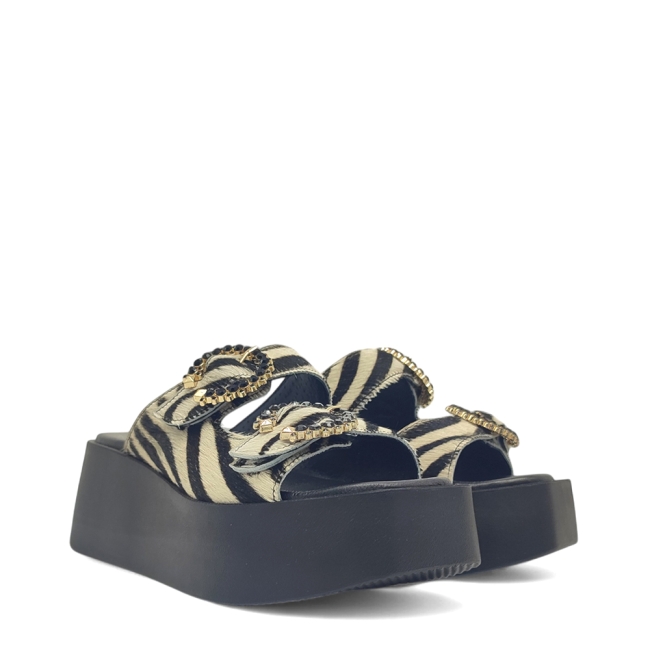 EXE FLATFORMS