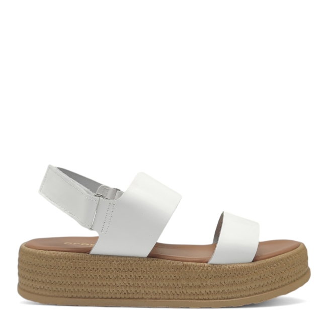 FLATFORMS