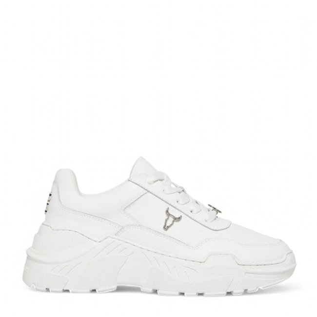 CARTE sneakers