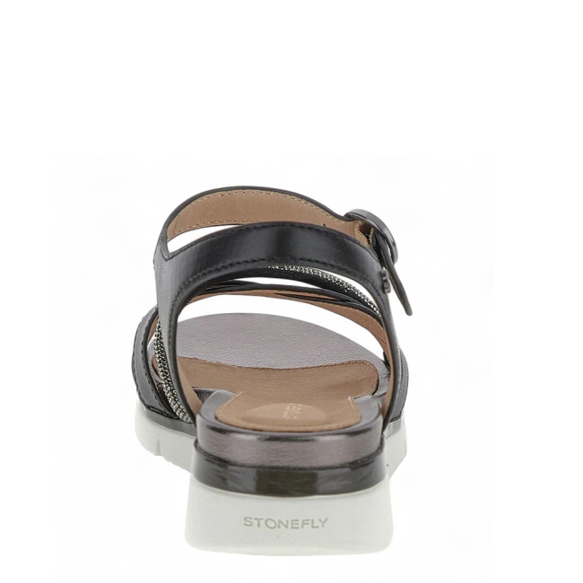 ELODY 25