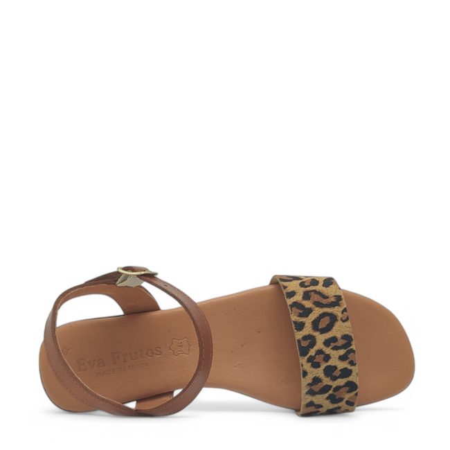 COMFORT SHOE