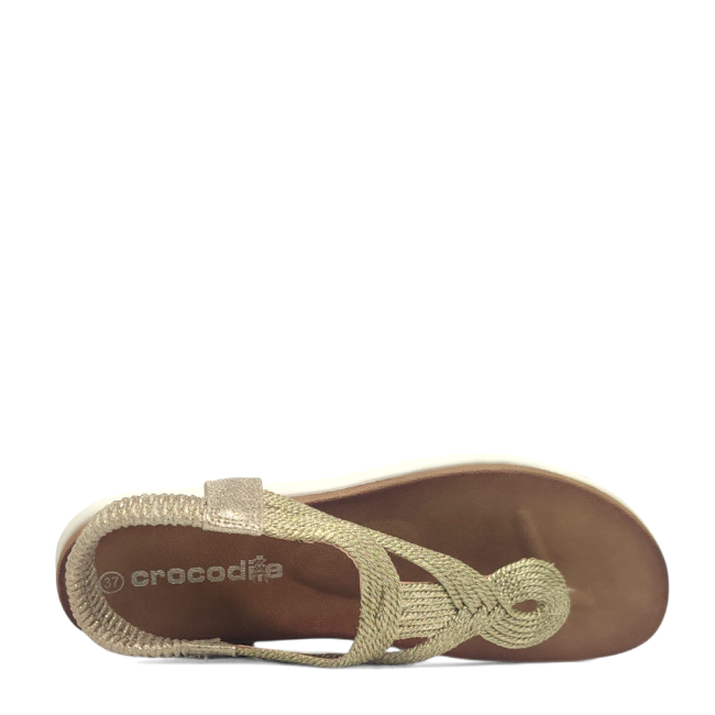 CROCODILE