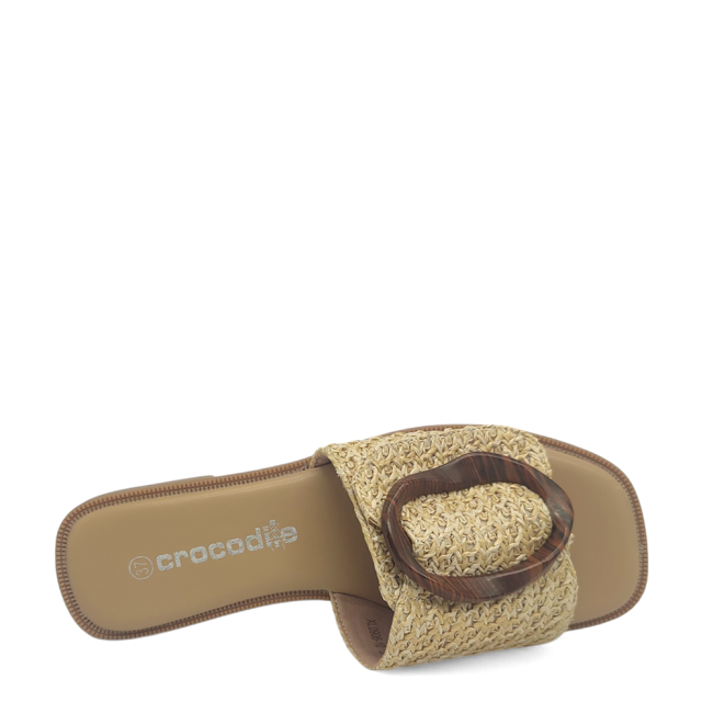 CROCODILE
