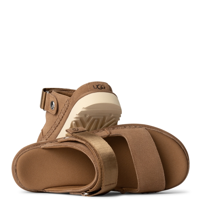 GOLDENSTAR GLIDE