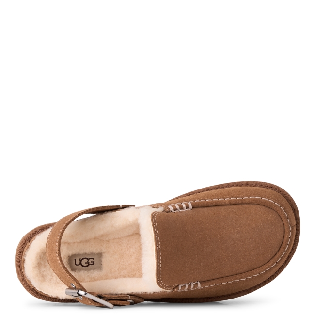 GOLDENSTAR EVELINA CLOG