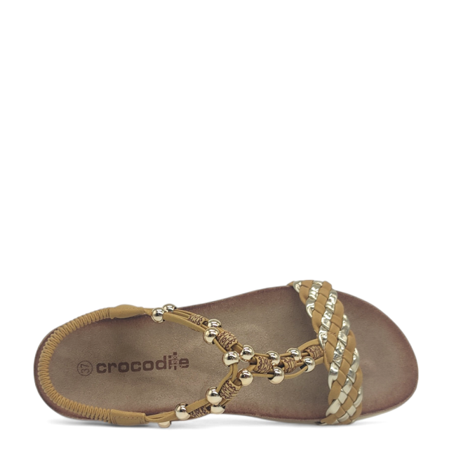 CROCODILE