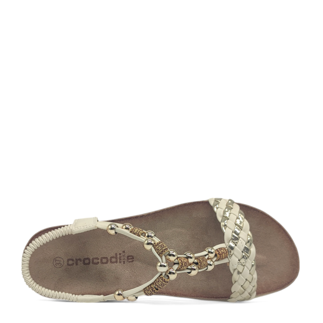 CROCODILE