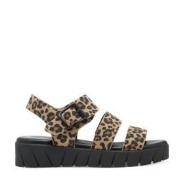 FLATFORMS