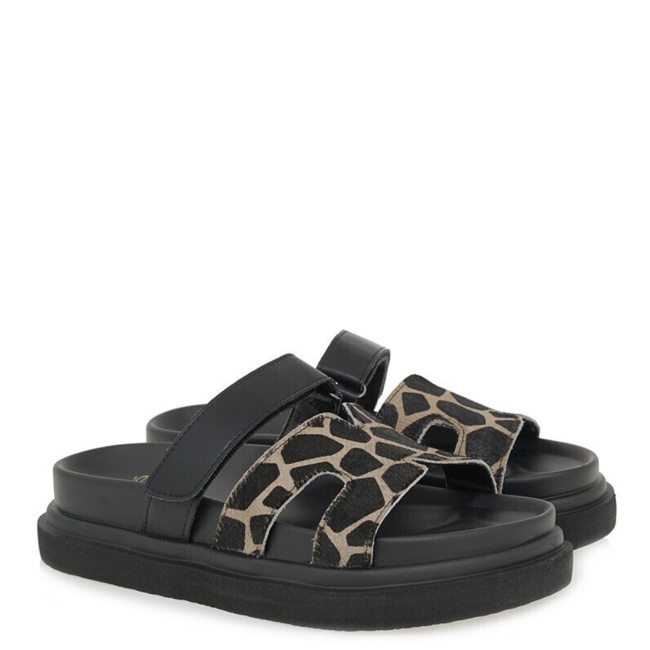EXE FLATFORMS