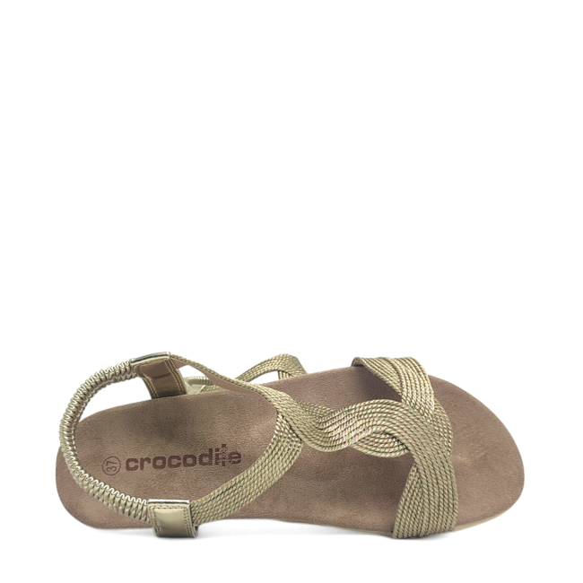 CROCODILE