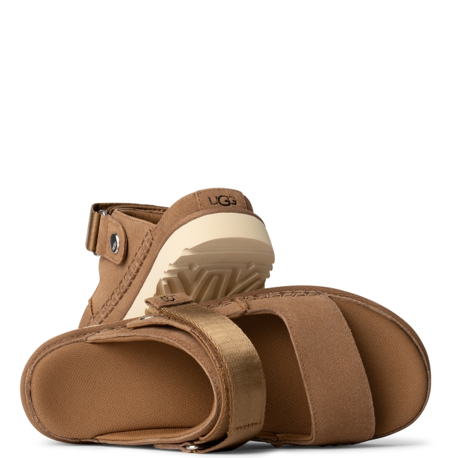 GOLDENSTAR GLIDE