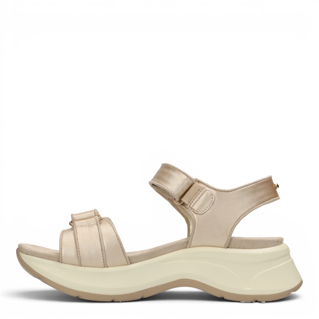 TURID PALM
