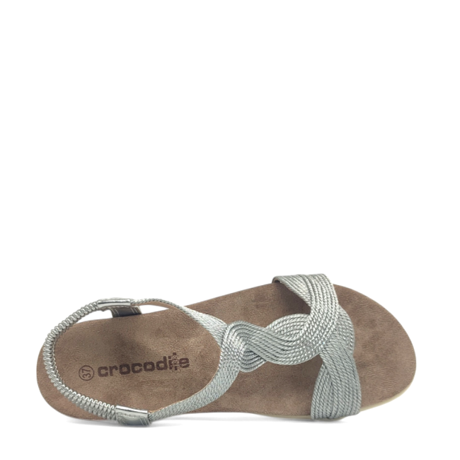 CROCODILE