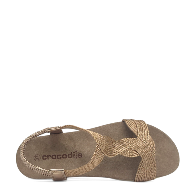 CROCODILE