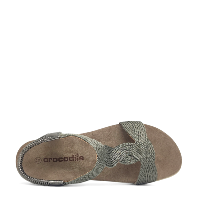 CROCODILE