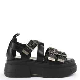 BOLT SND BUCKLE